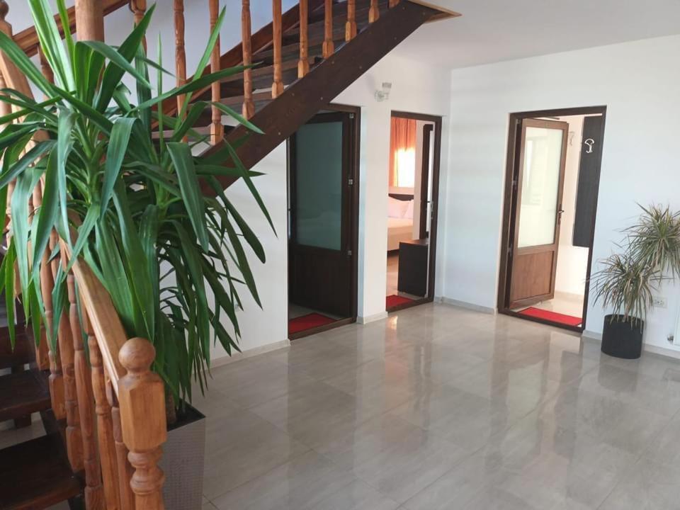 Hotel Vila Maranca à Două Mai Extérieur photo